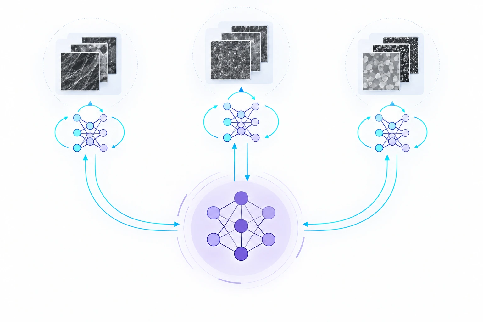Diagram of local data, local model training, and shared parameter updates.